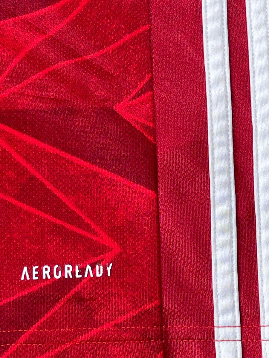 2020/21 Arsenal Aubameyang #14 Home Shirt (M)