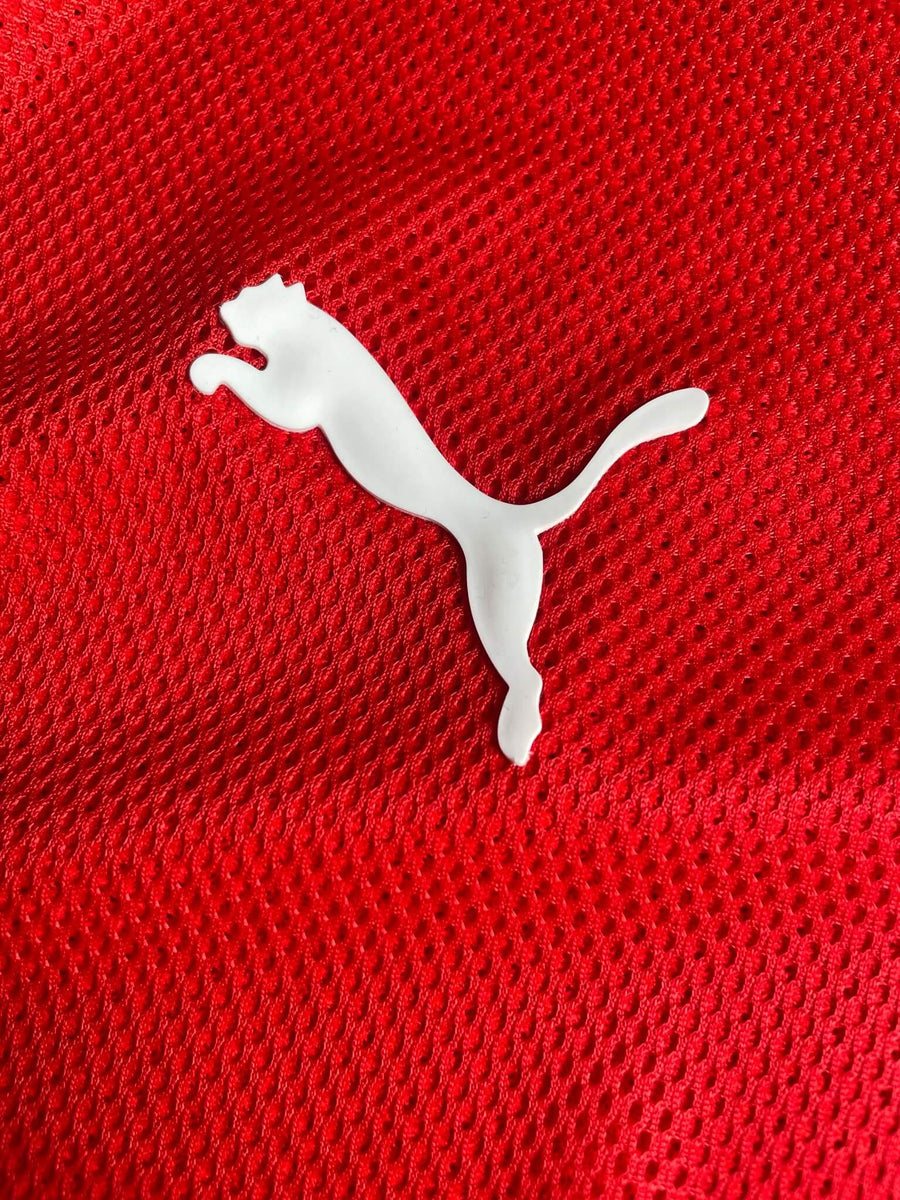 2008/09 Switzerland Nkufo #10 Home Shirt (L)