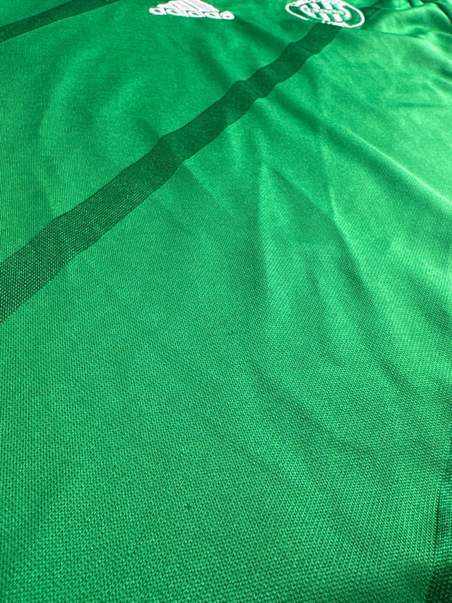 2014/15 Saint-Etienne V. Wolfswinkel #13 Home Shirt L/S (M)
