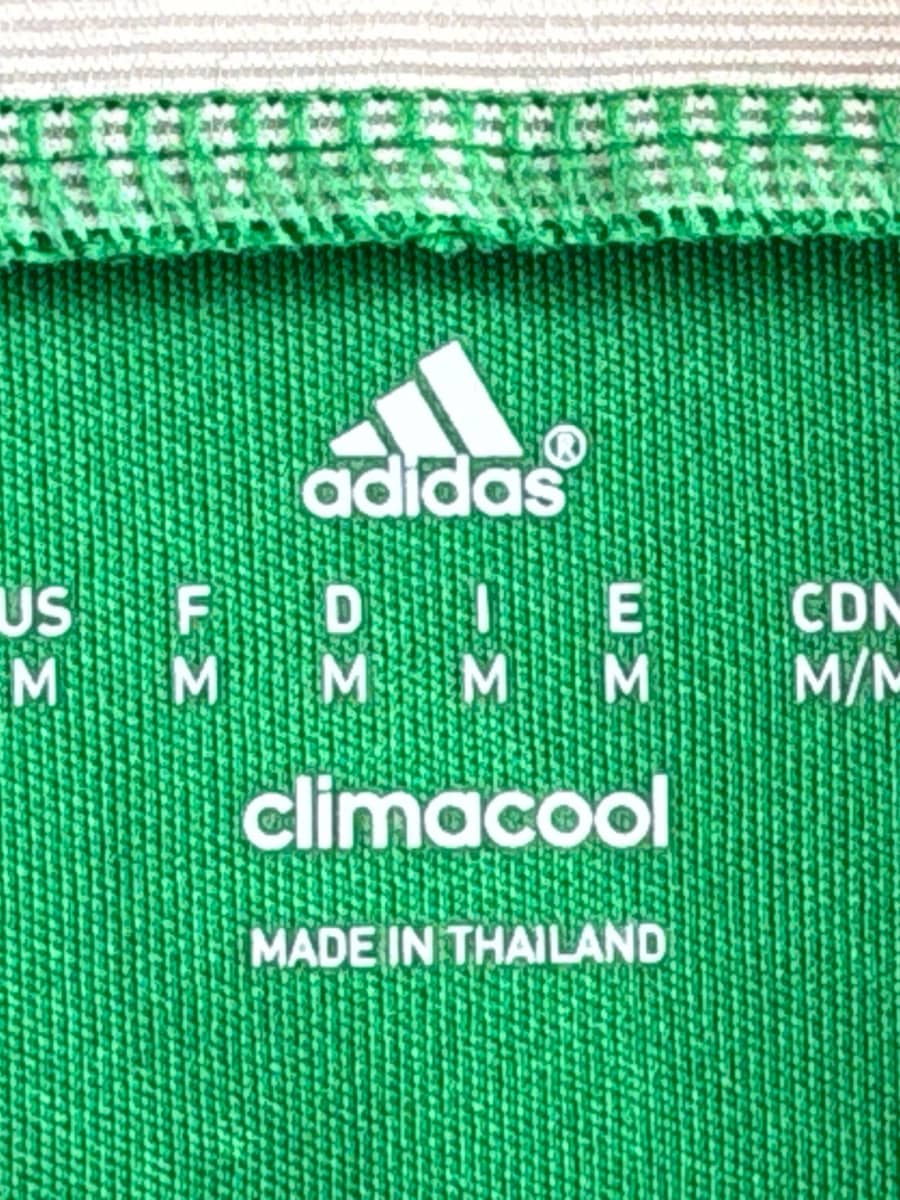 2014/15 Saint-Etienne V. Wolfswinkel #13 Home Shirt L/S (M)