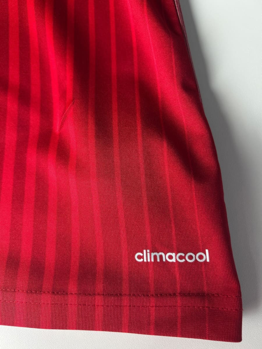 2014/15 Spain A.Iniesta #6 Home Shirt (M)