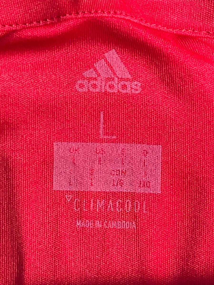 2017/18 Bayern Munich Robben 10 Home Shirt L/S (L) Adidas