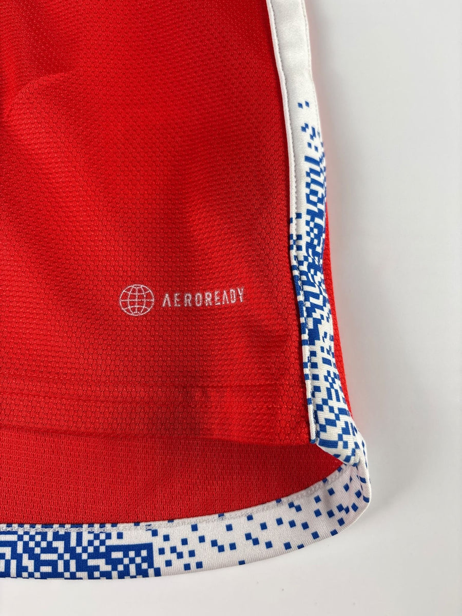 2022/23 Chile Alexis #7 Home Shirt (M)