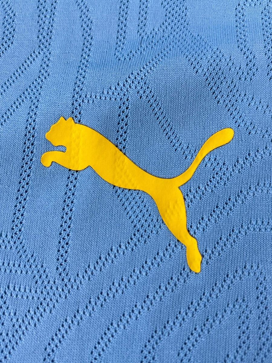 2024/25 Manchester City Training Shirt (XL)