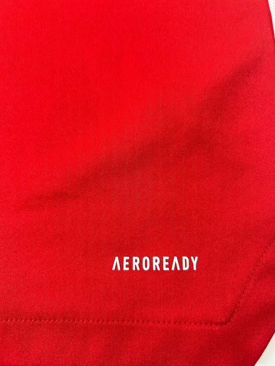 Ajax Training Shirt 2021/22 (S)