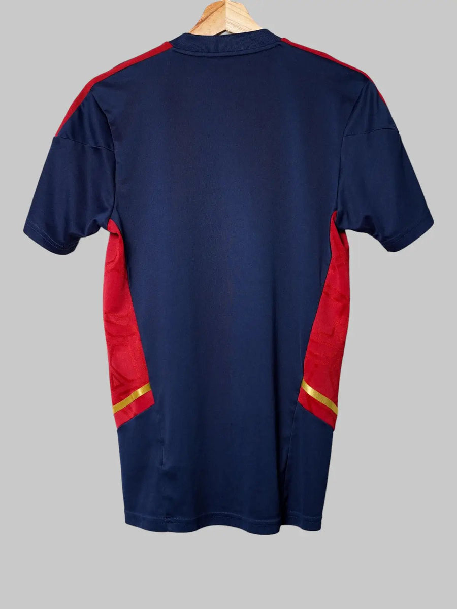 Ajax Training Shirt 2022/23 (S)