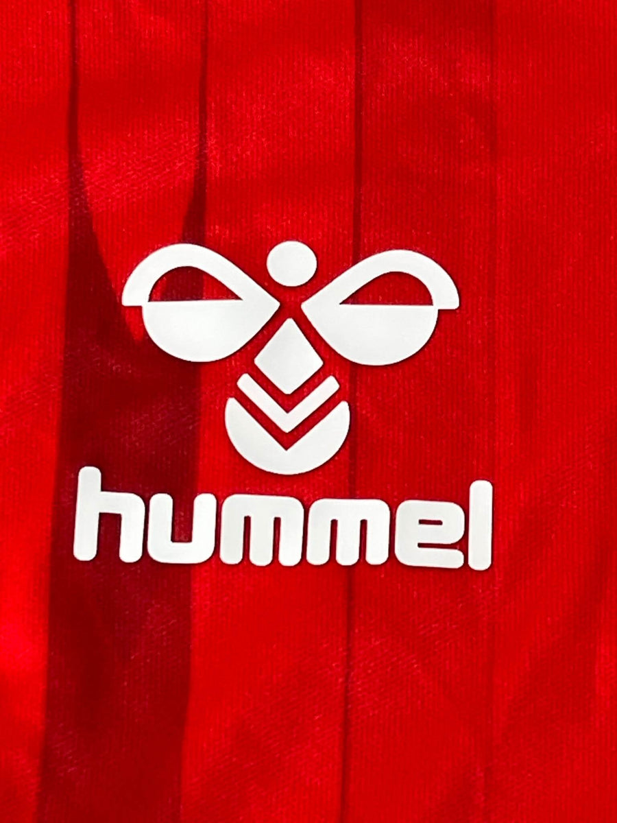 Charlton Athletic Home Shirt 2021/22 (XXL)