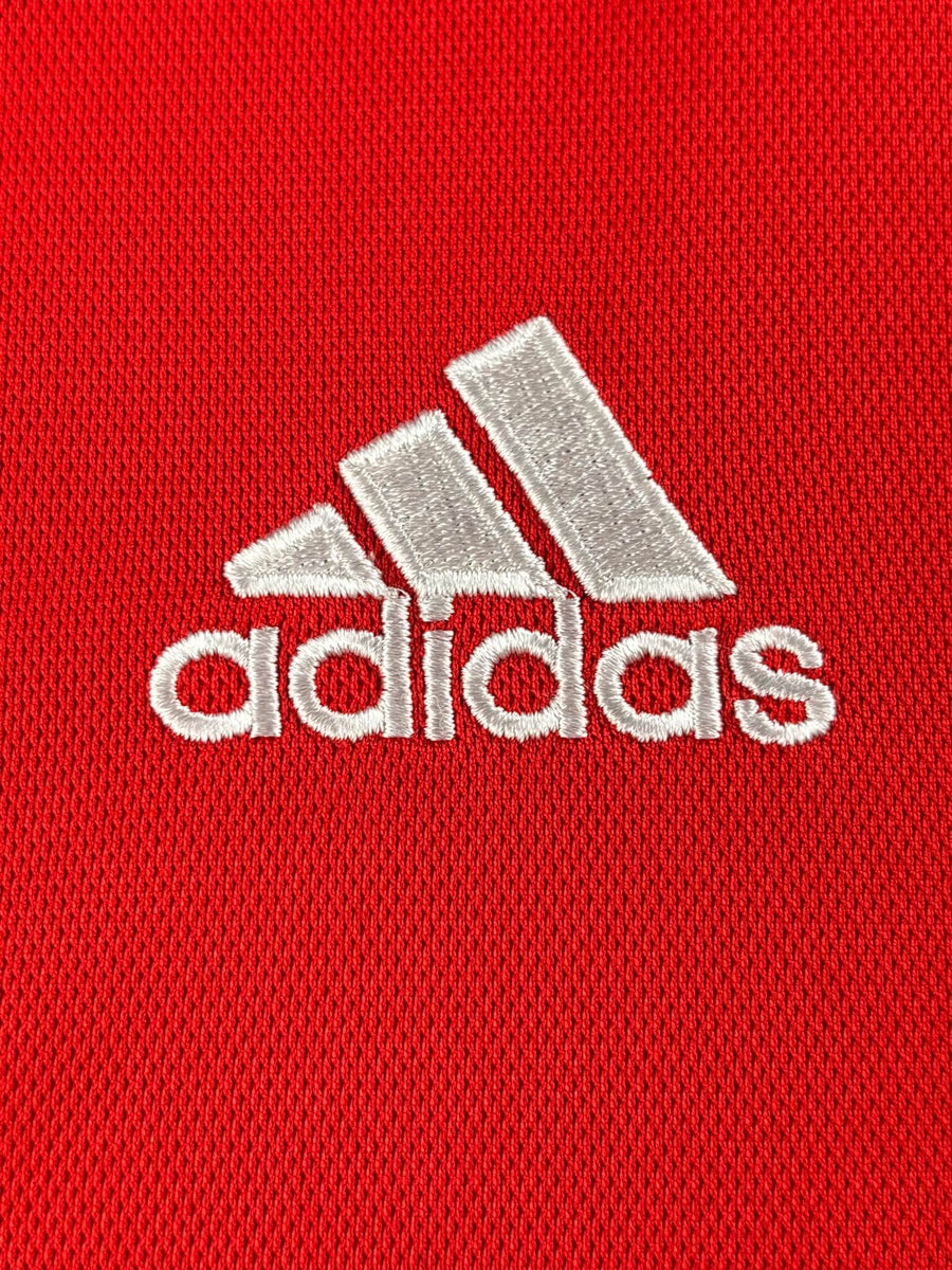 2018/19 Wales Bale #11 Home Shirt (L)