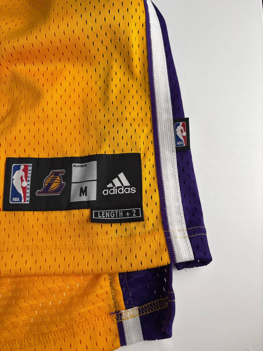 Los Angeles Lakers Swingman Basketball Home Jersey 2006-10 Bryant 24 BNWT (M)