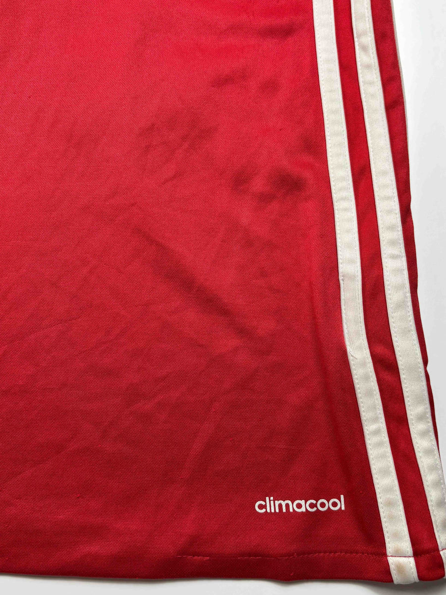 Manchester United Home Shirt 2016/17 Ibrahimovic 9 (M)