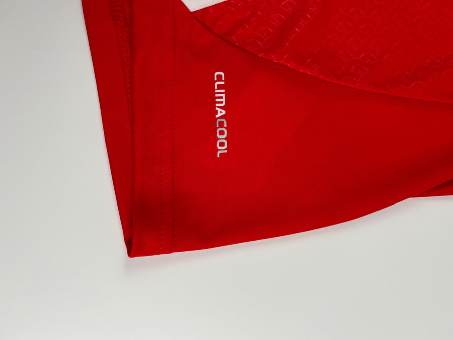 Russia Home Shirt 2012/13 Arshavin 10 (M)