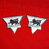 1994/95 <tc>Manchester United</tc> <tc>Premier League</tc> <tc>Champion</tc>Parches de 1993/94 (Reproducción)