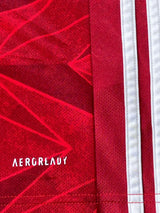 2020/21 Arsenal Aubameyang #14 Home Shirt (M)