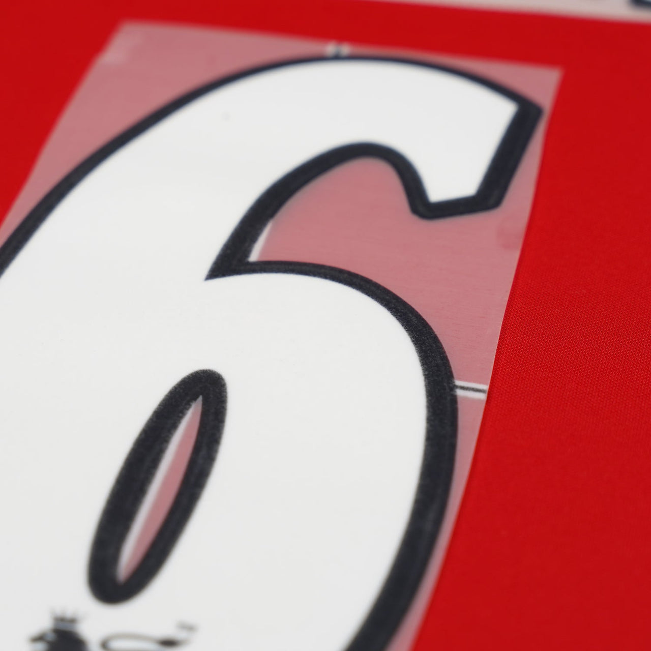 2000 - 02 Manchester United Home Flock Name Set Stam 6 (Repro)