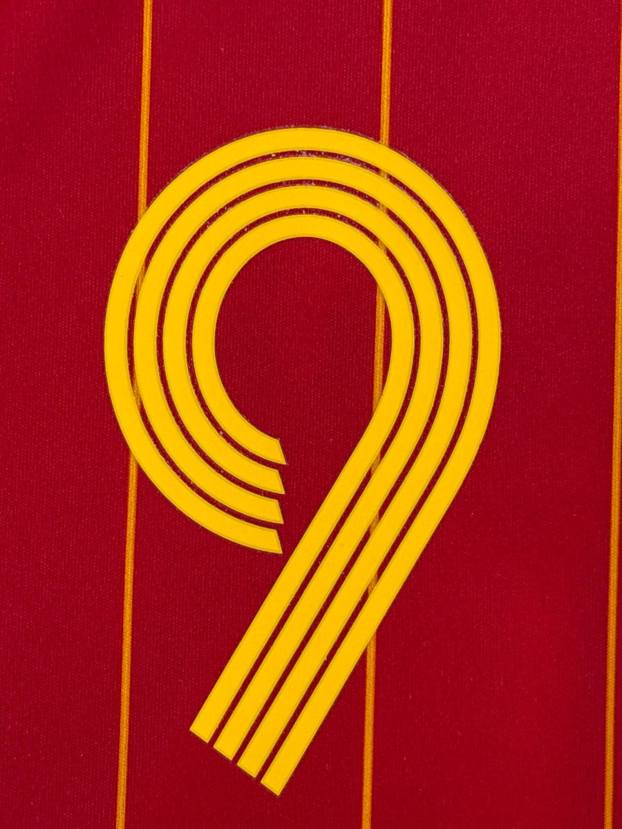2006/7 Spain F.Torres #9 Home Shirt (L)