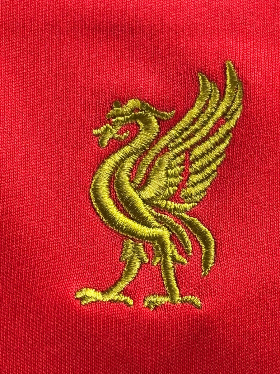2008/9 Liverpool Torres #9 Home Shirt (M)