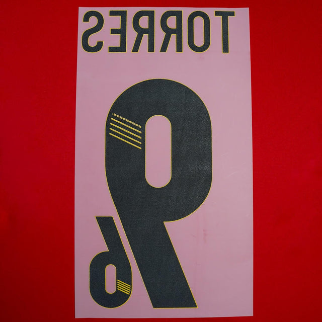 2012/13 Spain Home Name Set Torres #9 (Repro)