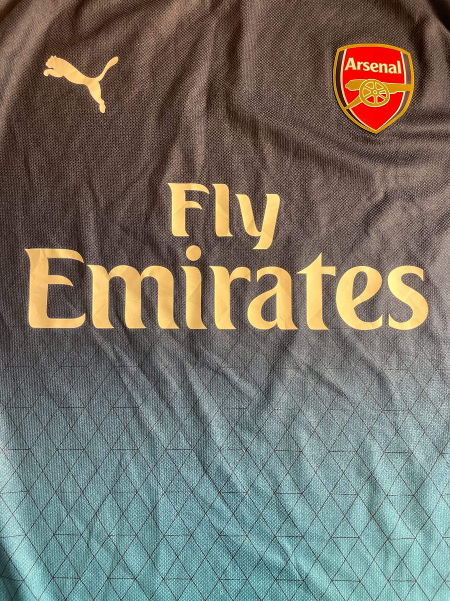 2015/16 Arsenal Training Shirt (L)
