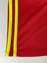 2016/17 Belgium Lukaku #9 Home Shirt (M)