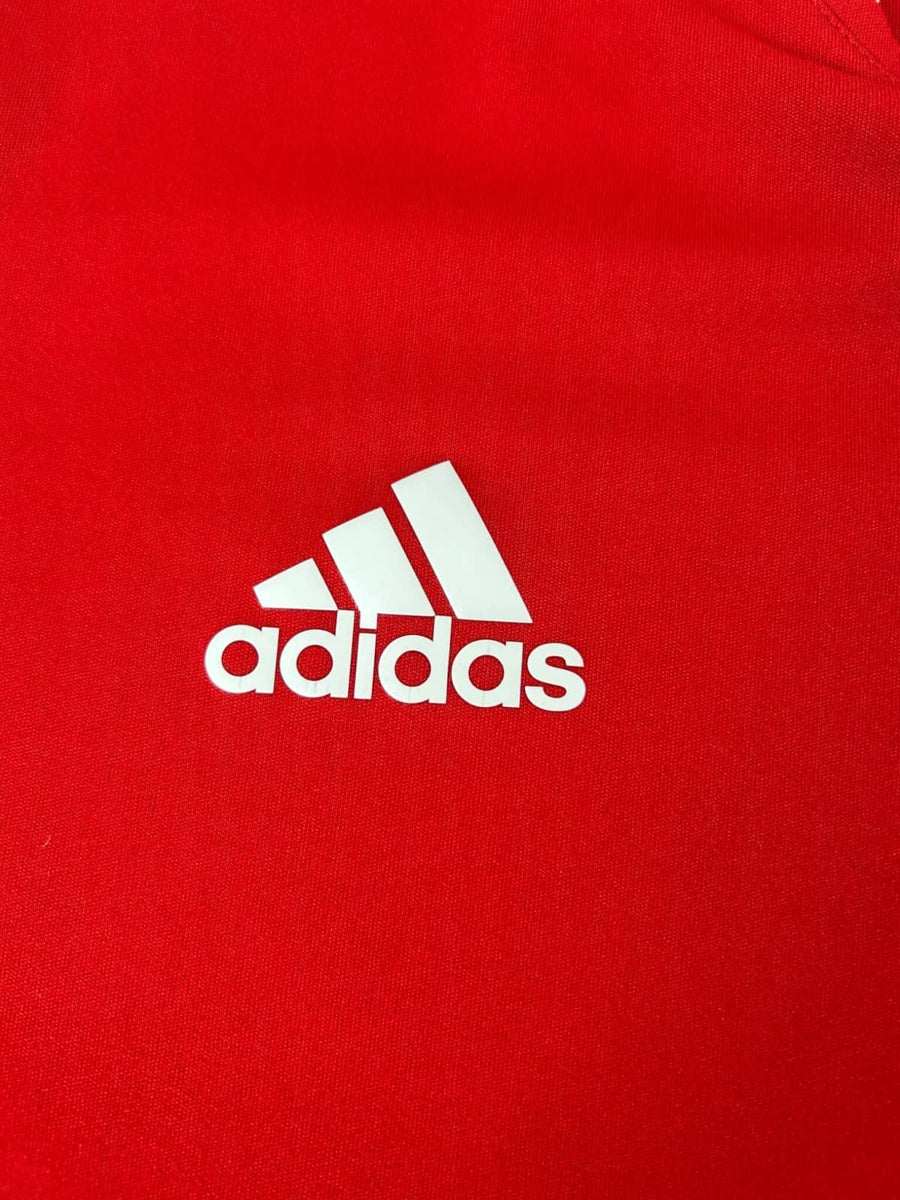 Ajax Training Shirt 2021/22 (S)