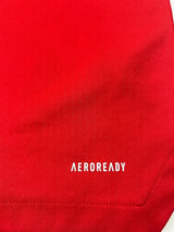 Ajax Training Shirt 2021/22 (S)