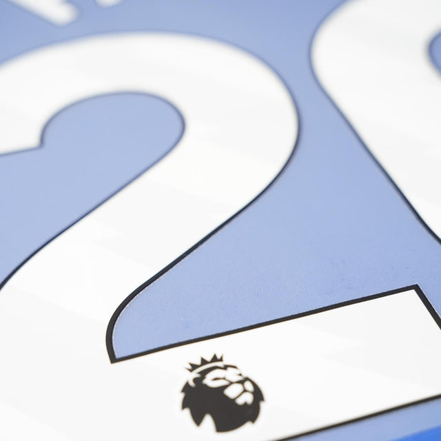 2023/24 Chelsea Home/Away Name Set Palmer 20 (Repro)