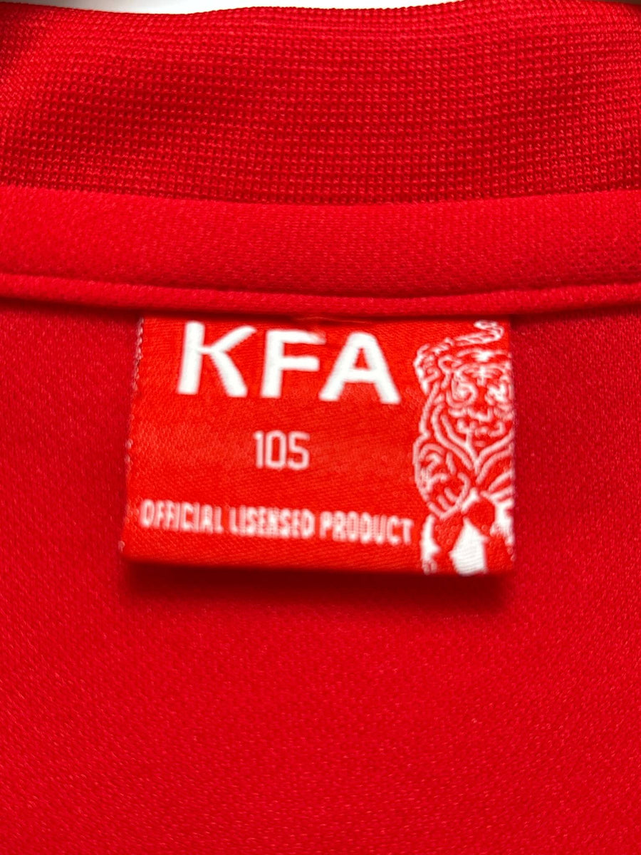 2010/11 South Korea Graphic Shirt (M)
