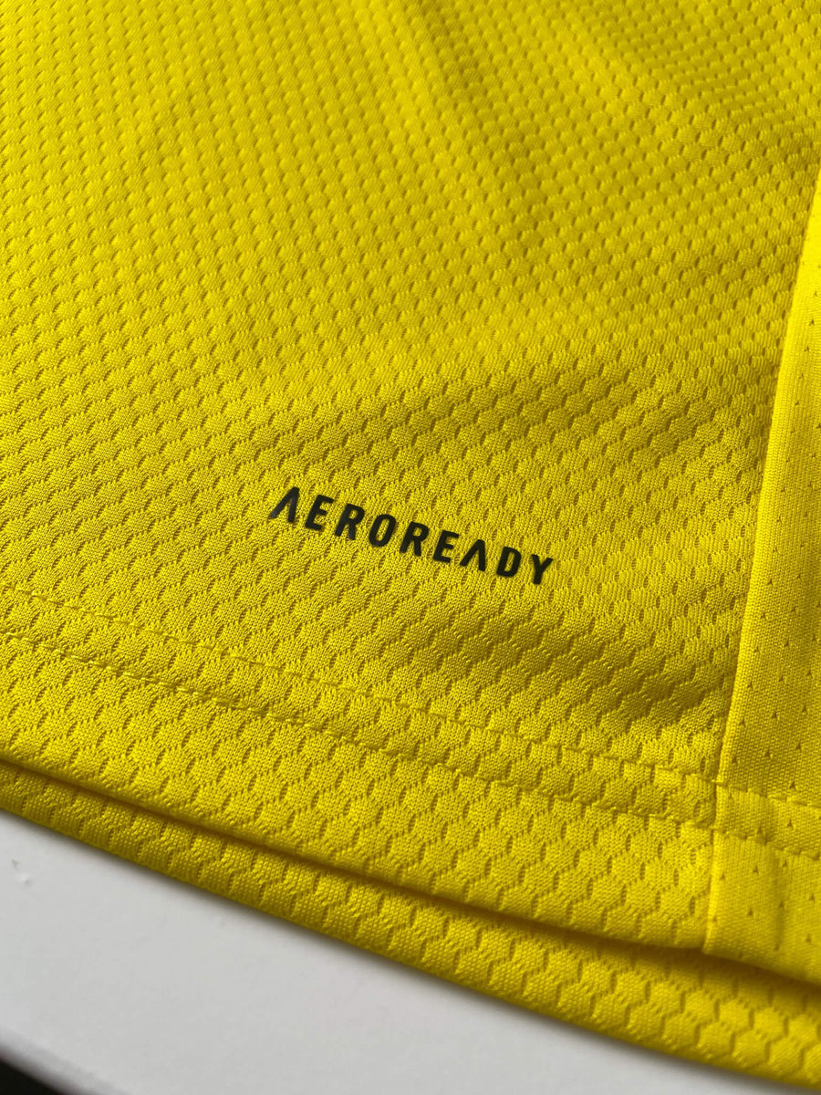2020/21 Sweden Isak #14 Home Shirt (L)
