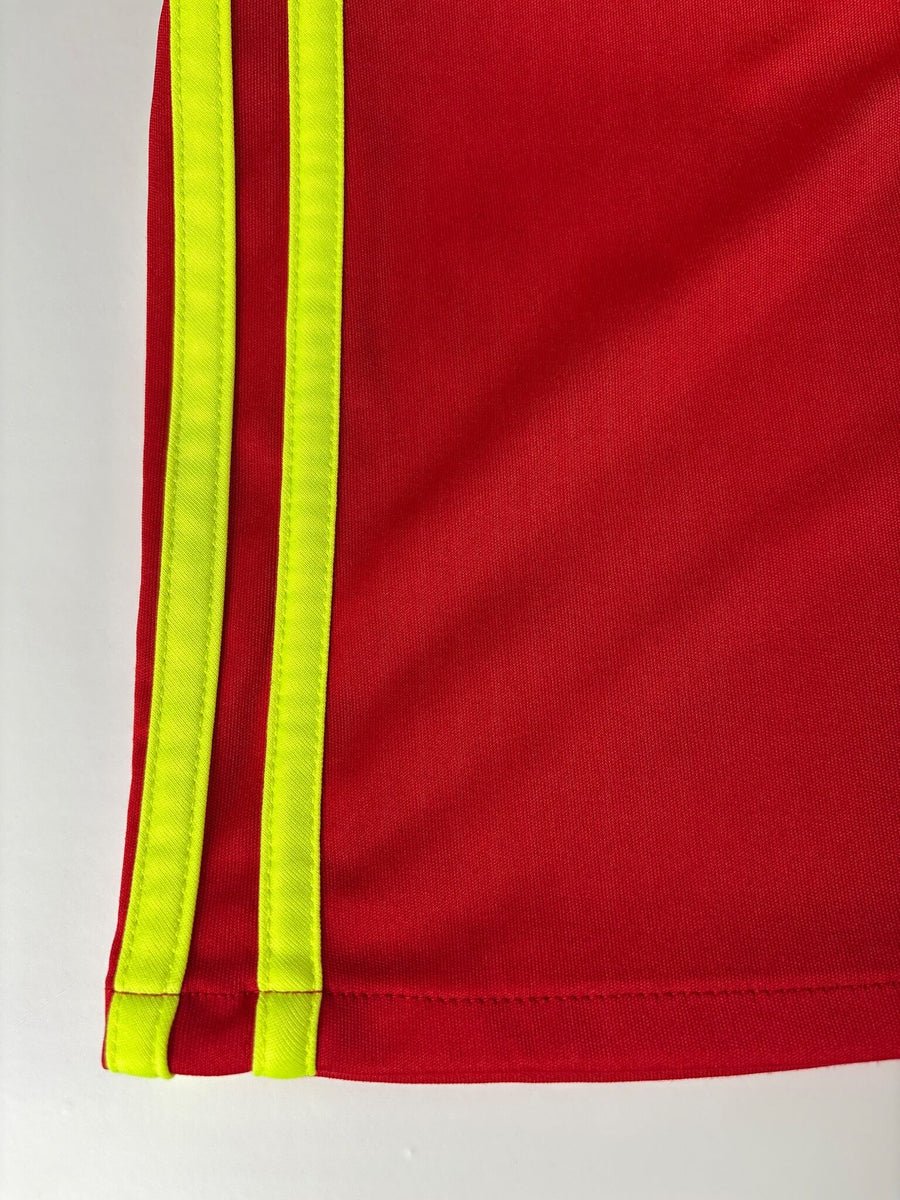 2016/17 Belgium Lukaku #9 Home Shirt (M)