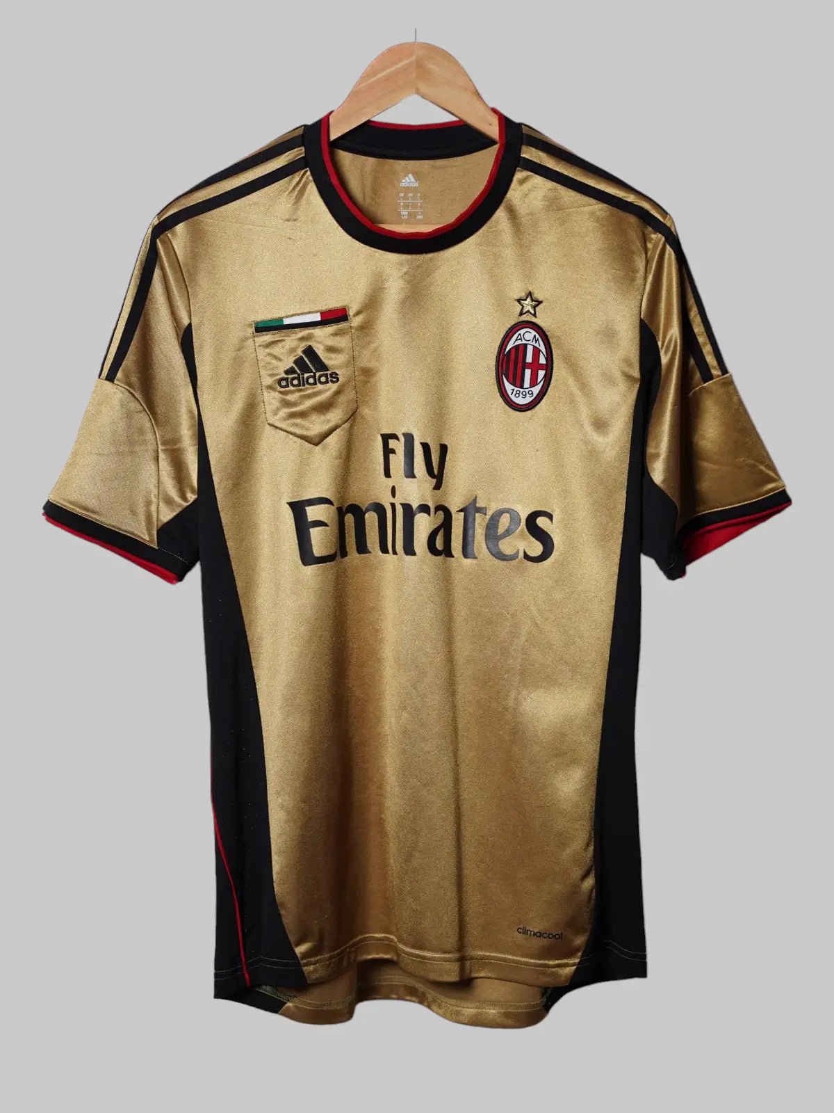 AC Milan Third Shirt 2013/14 (L)