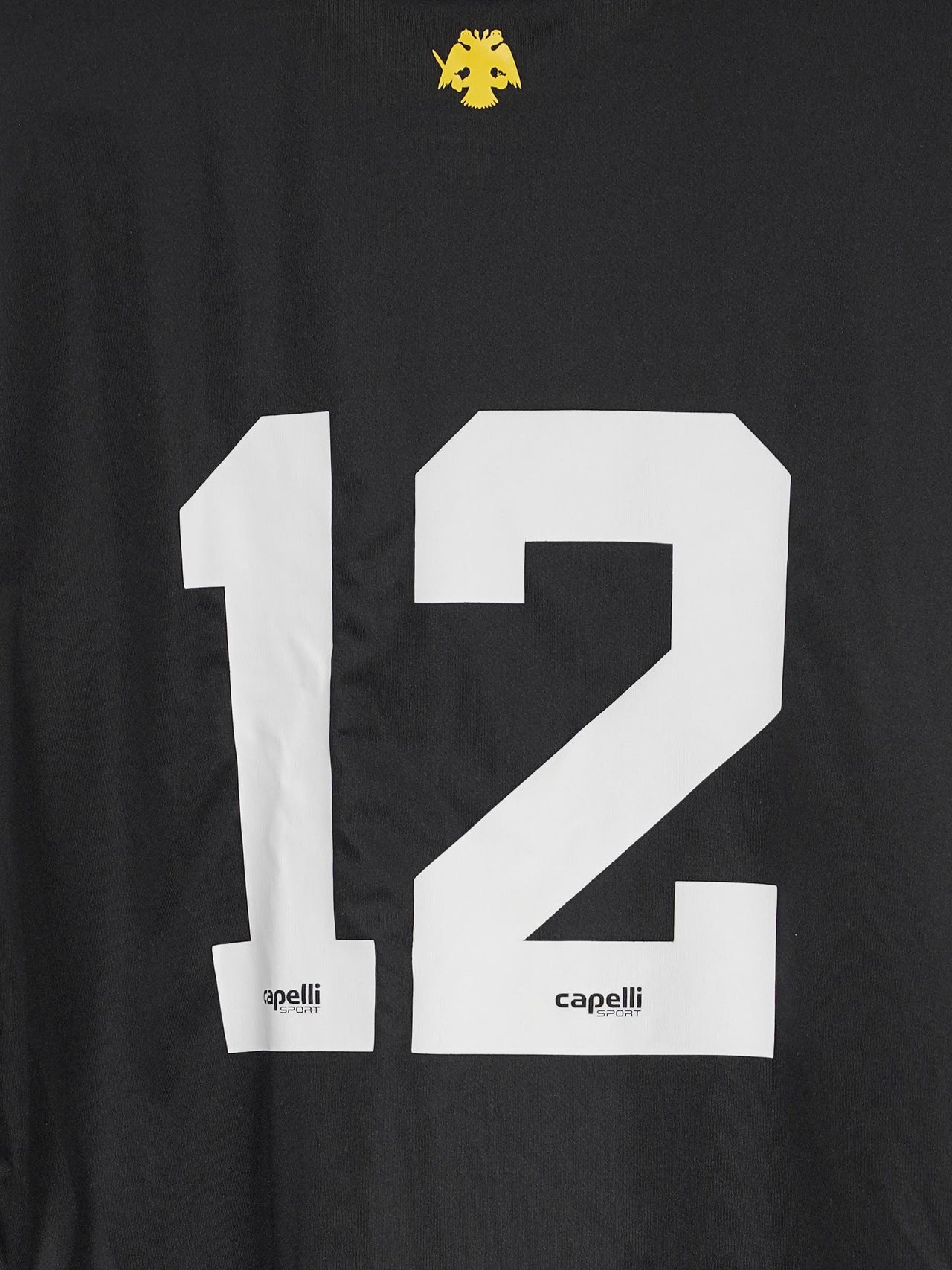 AEK Athens Training Shirt 2018/19 (L)