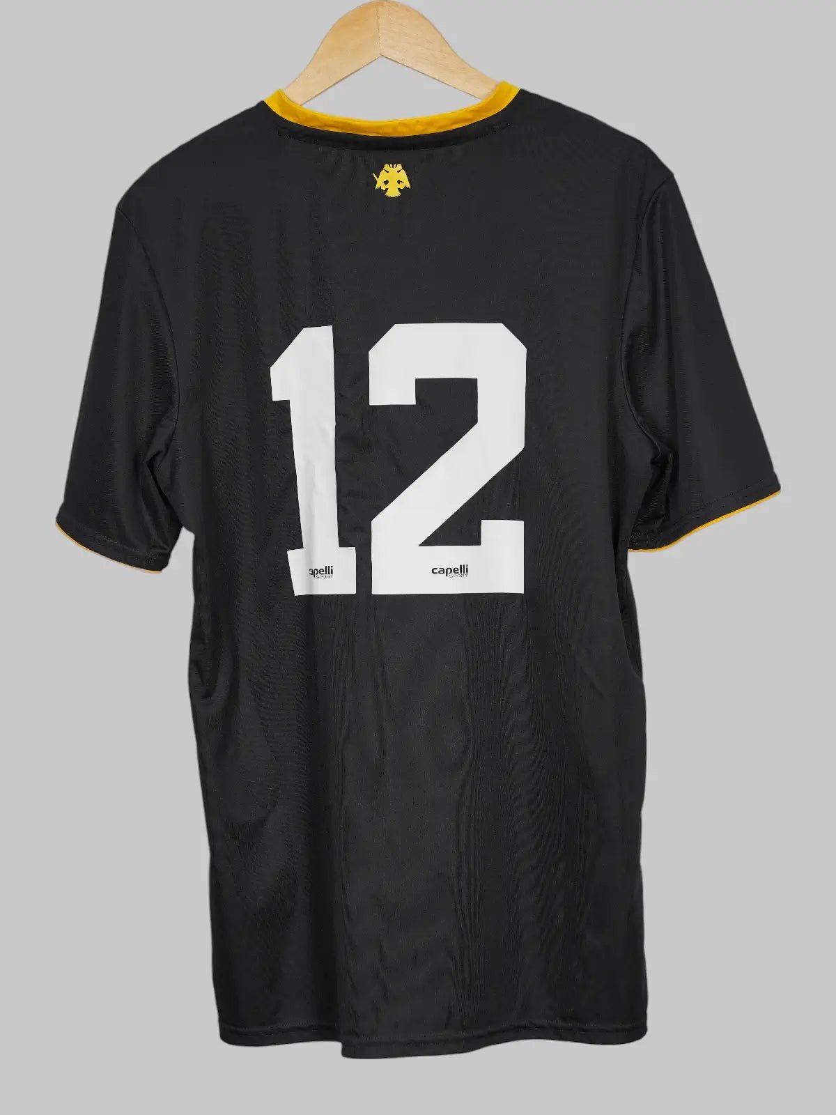 AEK Athens Training Shirt 2018/19 (L)