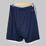 Ajax Away Shorts 2023/24 (L)