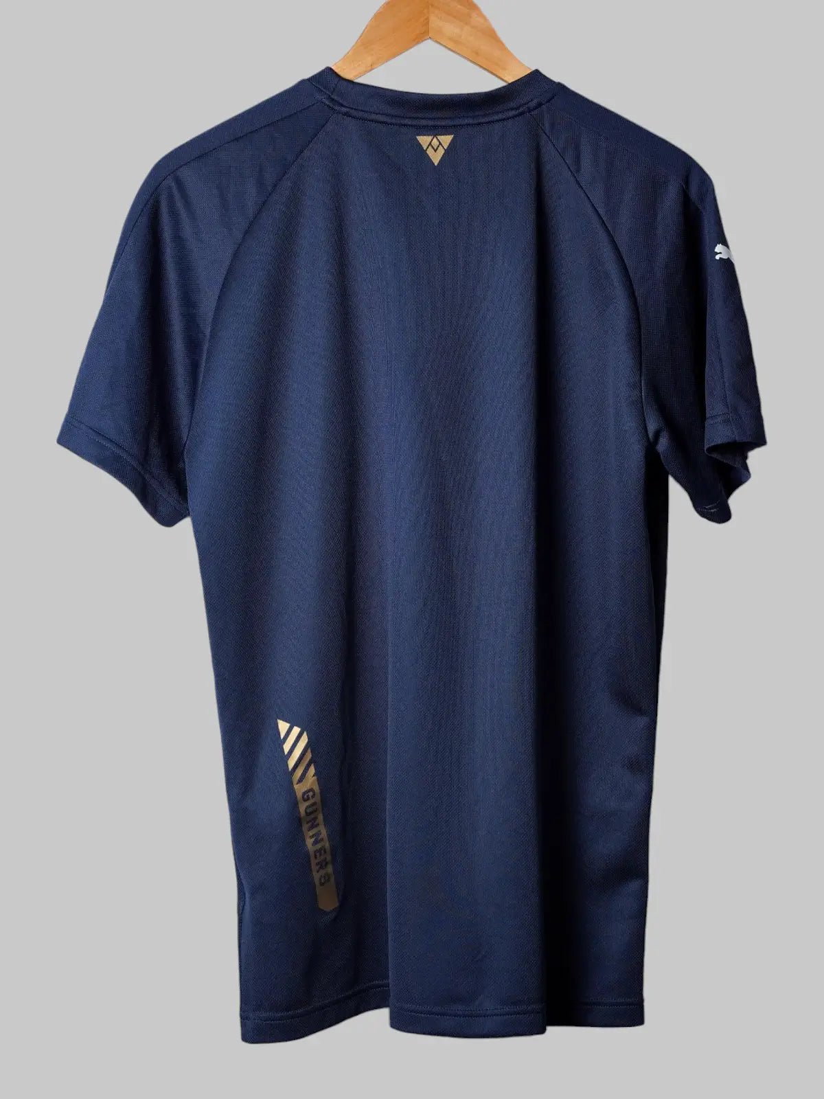 Arsenal Training Shirt 2015/16 (L)