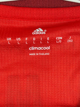 Bayern Munich Home Shirt 2015/16 Lewandowski 9 (L)