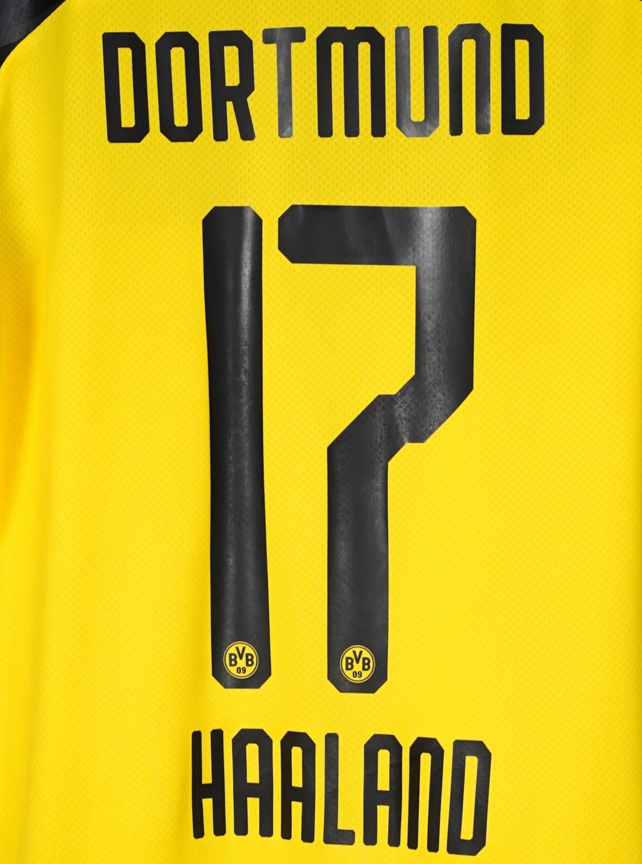 Dortmund UCL Home Shirt 2019/20 Haaland 17 (M)