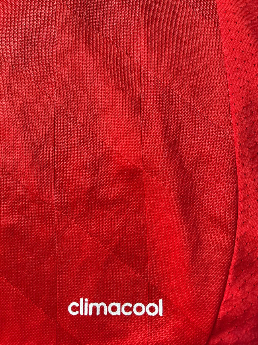 2013/14 Bayern Munich Robben #10 Home Shirt (M)