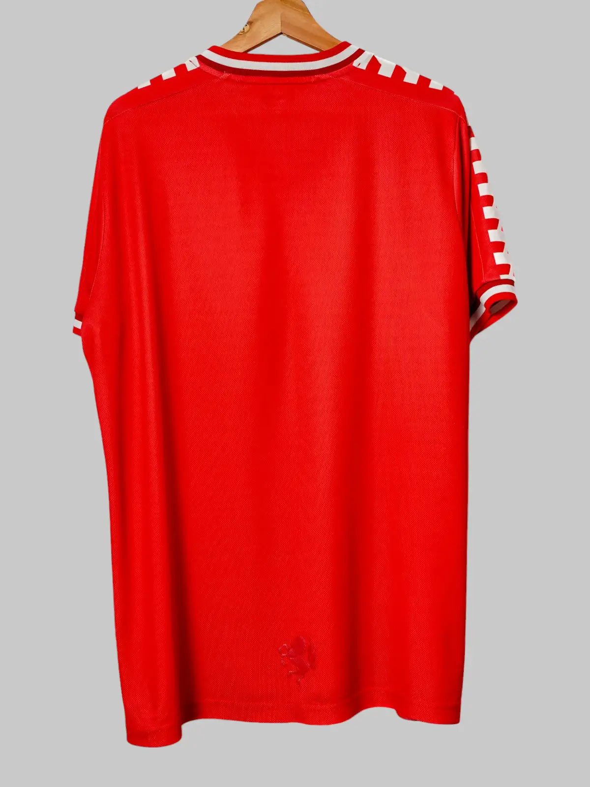 FC Twente Special Warming - up Shirt 2022/23 (XL)