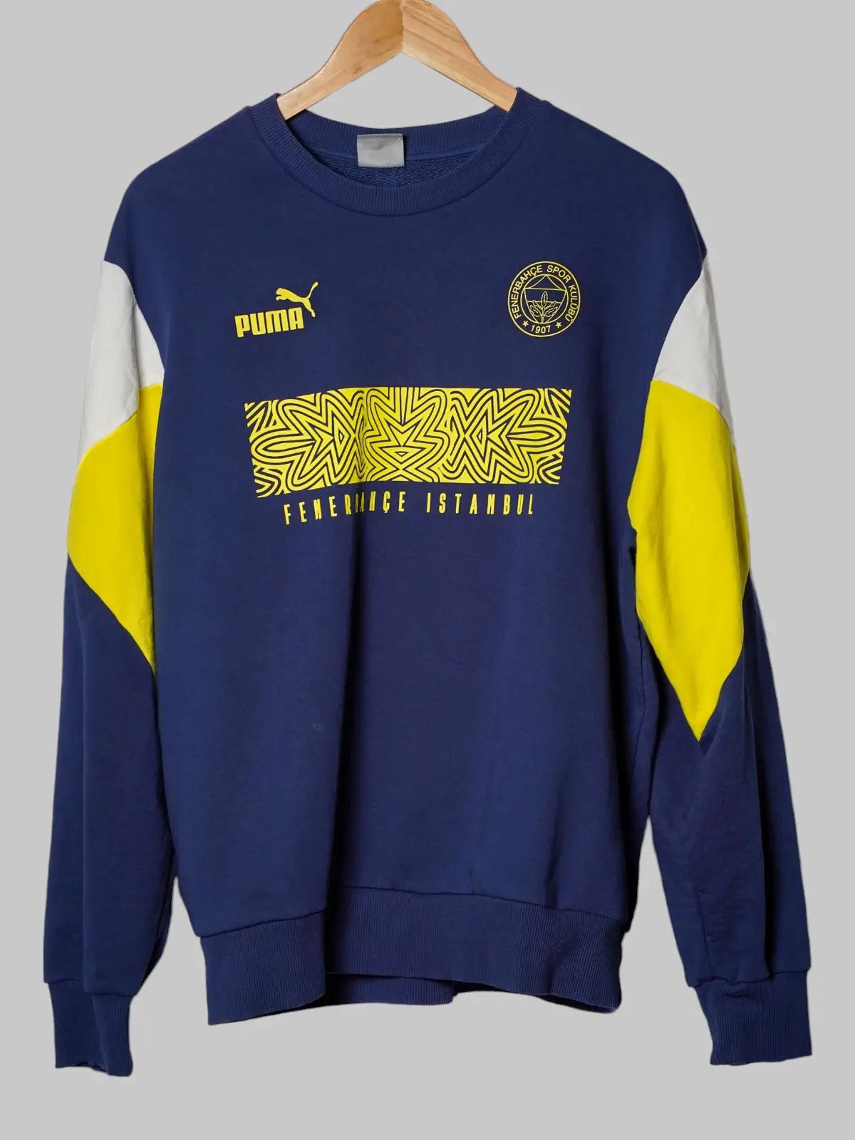 Fenerbahce Sweater 2021/22 (L)