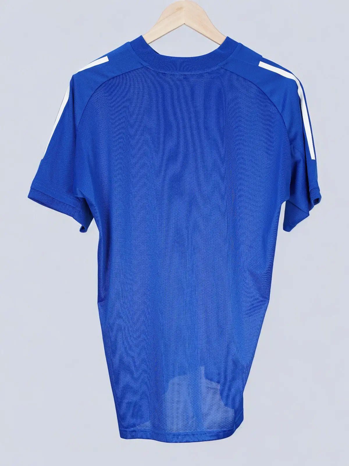 Feyenoord Training Shirt 2020/21 (M)