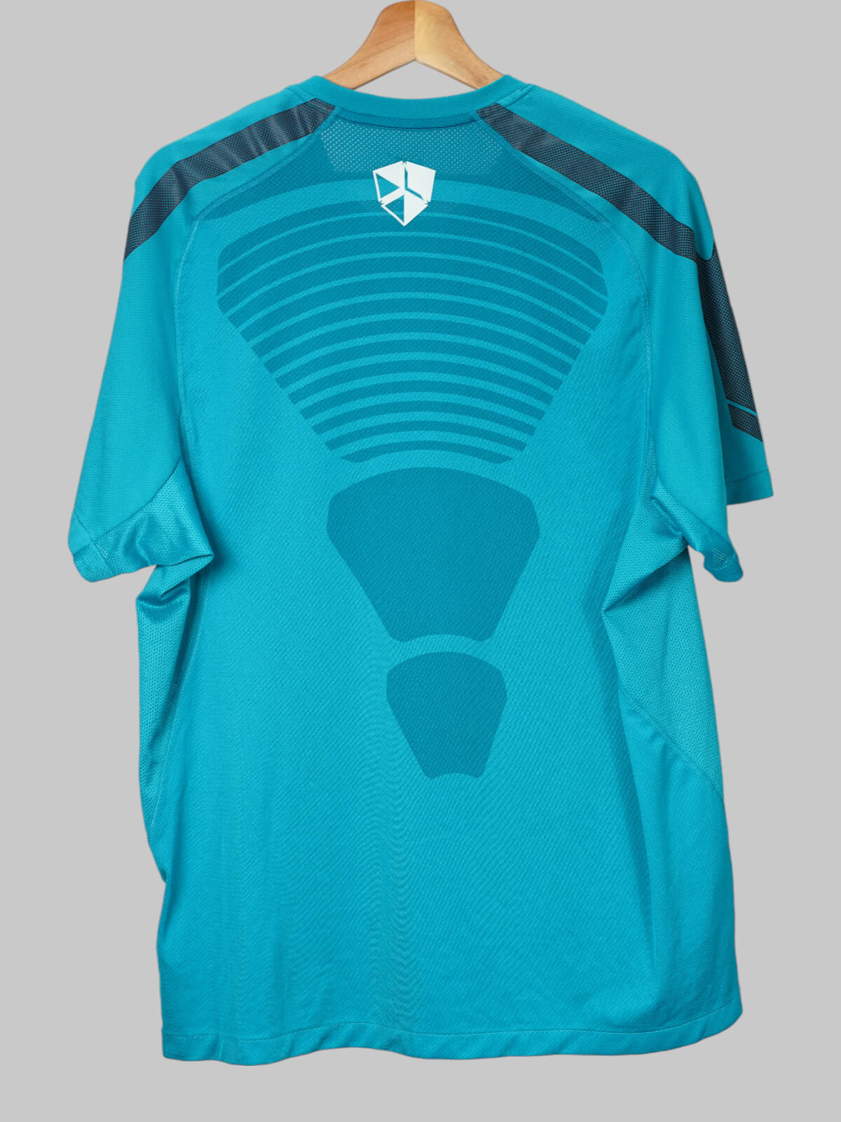 Inter Training Shirt 2010/11 (L)