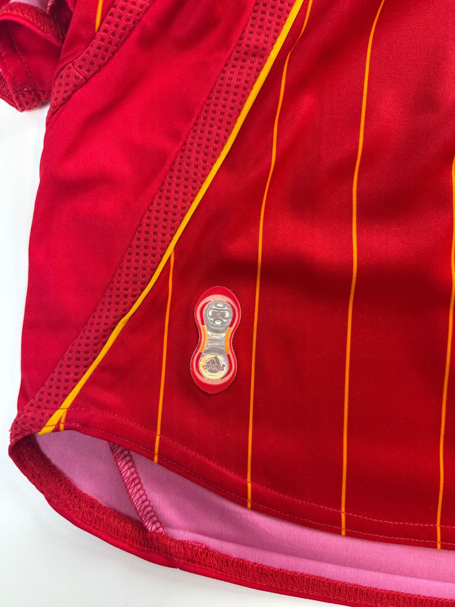 2006/7 Spain F.Torres #9 Home Shirt (L)