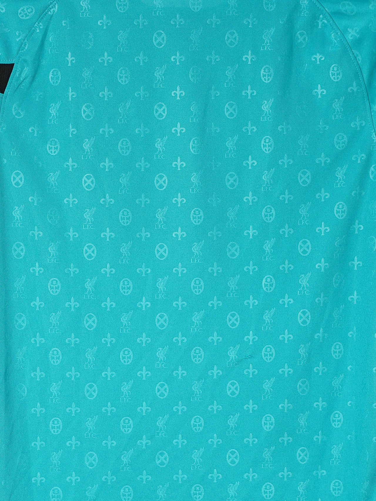 Liverpool Training Shirt 2020/21 (S)