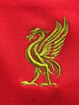 2008/9 Liverpool Torres #9 Home Shirt (M)