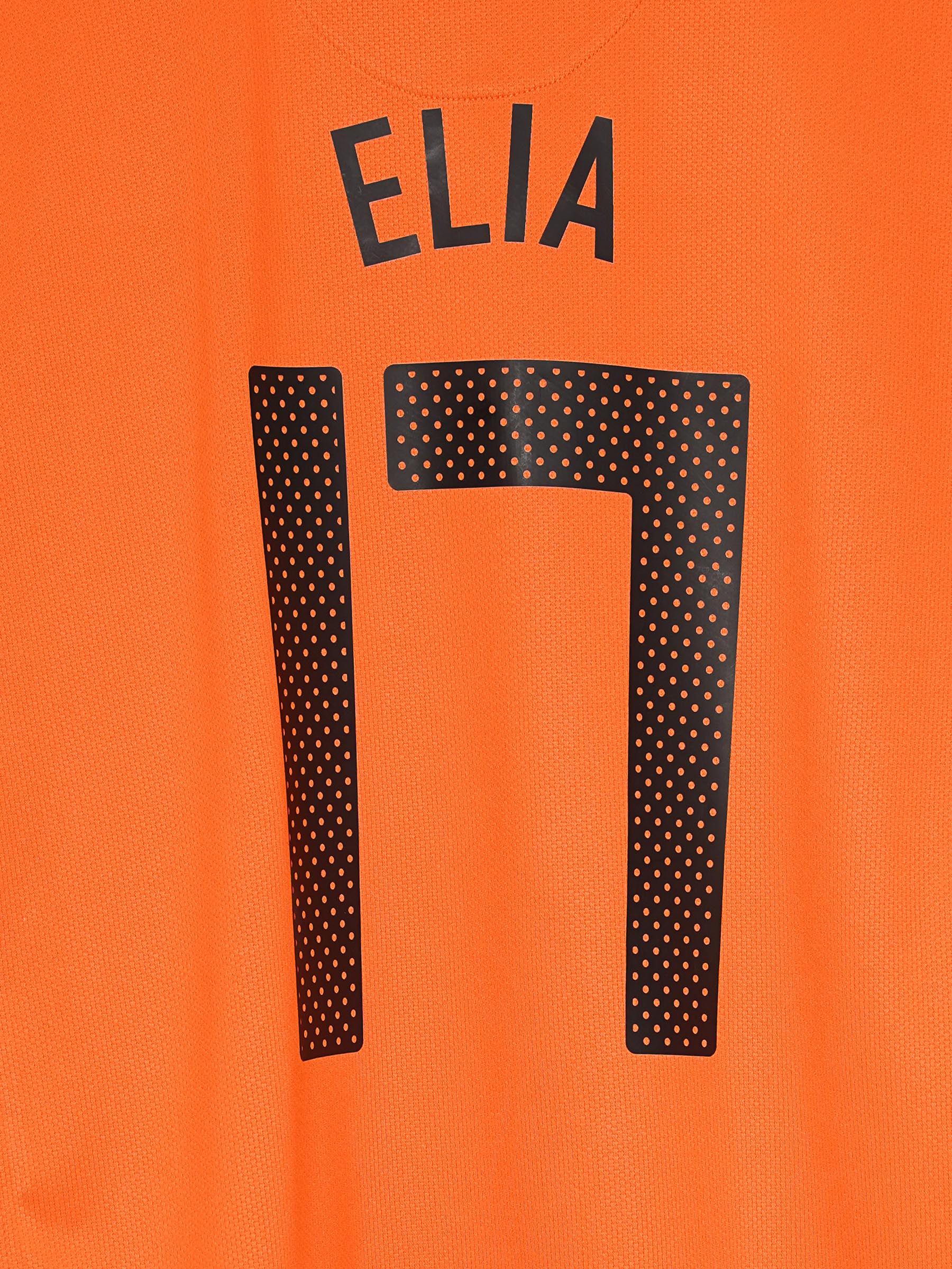 Netherlands Home Shirt 2010/11 Elia 17 (L)