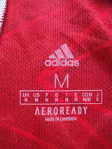 2020/21 Arsenal Aubameyang #14 Home Shirt (M)